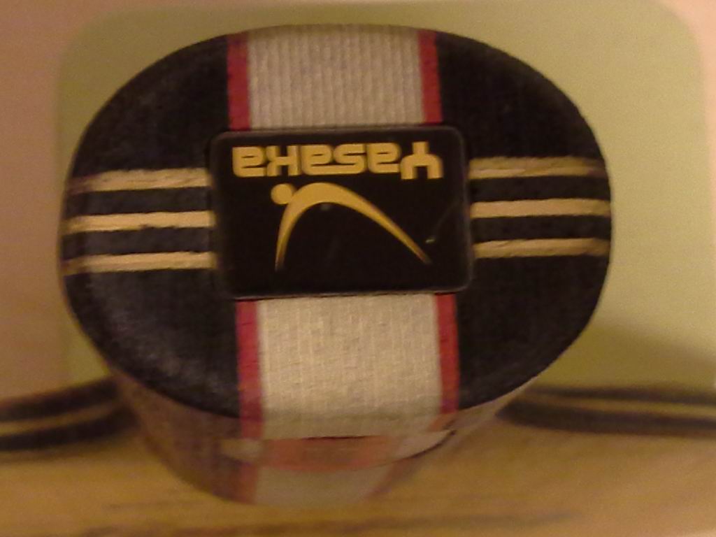 ��һֻYASAKA YG�װ�