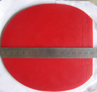 6׺---------ײ˼ۣ
