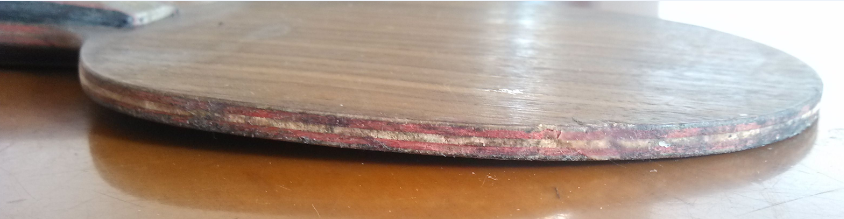 ���ѳ�ֱ��YES��֧��������