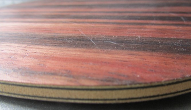 �����µ� רҵ�� ��̴