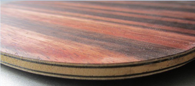 �����µ� רҵ�� ��̴