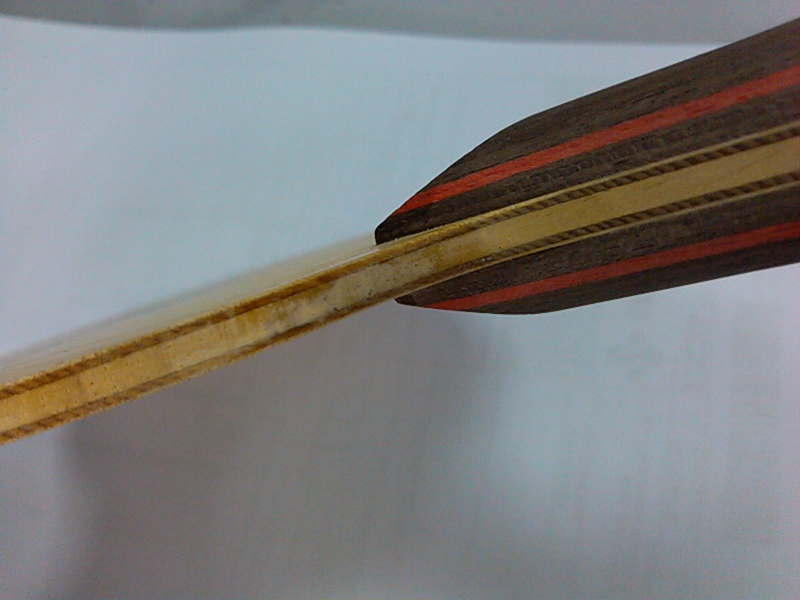 ���ѳ�����������[ԭ��] ����ԣ���ľ��FL����Ʒ�࣬��ɼ���ܣ�DONIC BLUE FIRE M2 ��+NITTAKU FASTARC S1 ��