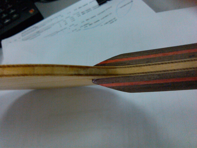 ���ѳ�����������[ԭ��] ����ԣ���ľ��FL����Ʒ�࣬��ɼ���ܣ�DONIC BLUE FIRE M2 ��+NITTAKU FASTARC S1 ��