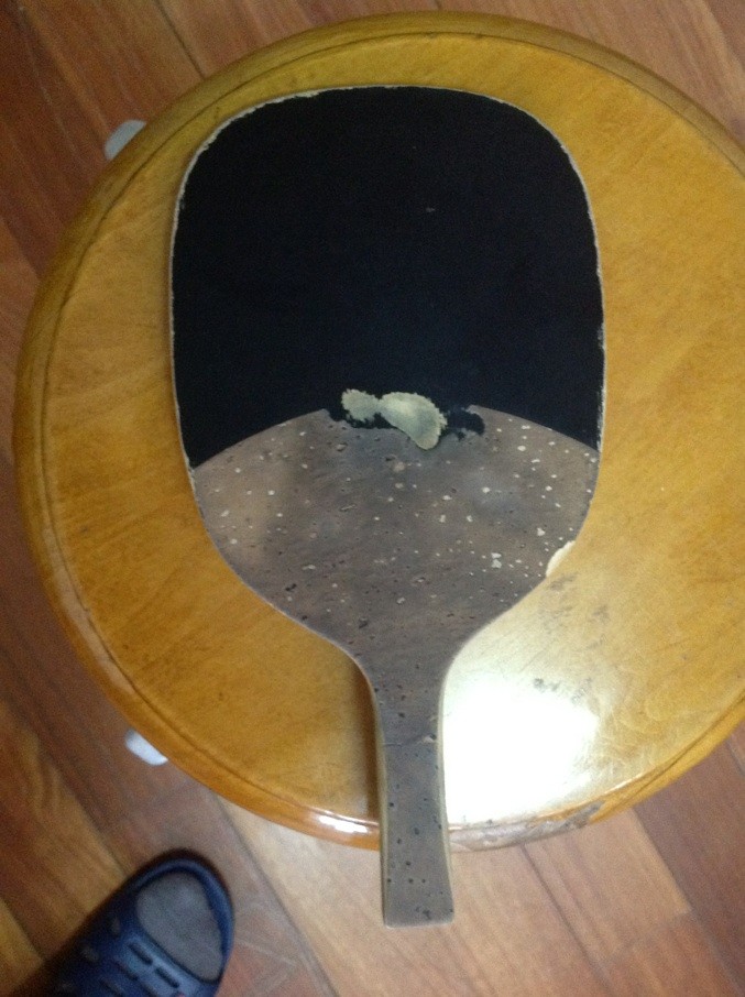һƽ𣬱VL2508,430V