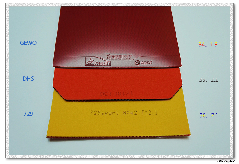 �½�����ɬ��������------729 ���⡢DHS ���칭3��GEWO RETURN CHOP�׽���ύ����