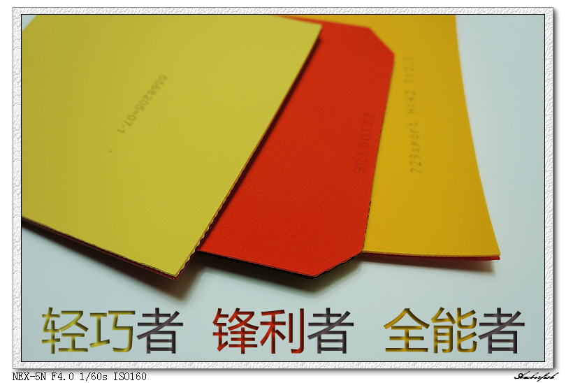 �½�����ɬ��������------729 ���⡢DHS ���칭3��GEWO RETURN CHOP�׽���ύ����