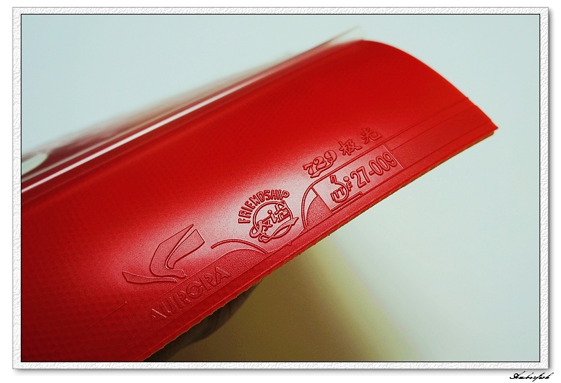 �½�����ɬ��������------729 ���⡢DHS ���칭3��GEWO RETURN CHOP�׽���ύ����