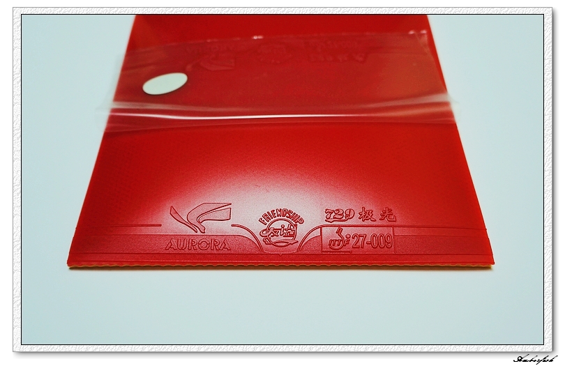 �½�����ɬ��������------729 ���⡢DHS ���칭3��GEWO RETURN CHOP�׽���ύ����