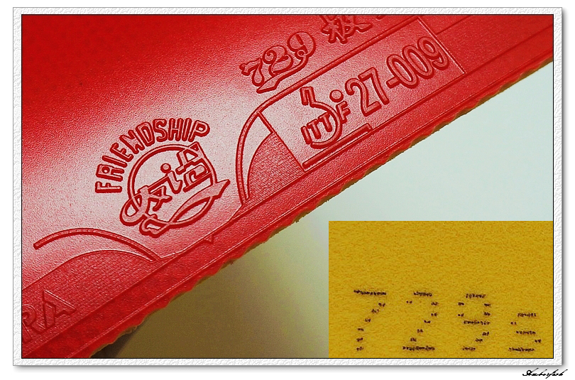 �½�����ɬ��������------729 ���⡢DHS ���칭3��GEWO RETURN CHOP�׽���ύ����