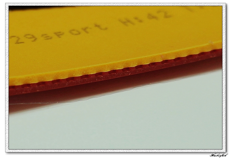 �½�����ɬ��������------729 ���⡢DHS ���칭3��GEWO RETURN CHOP�׽���ύ����