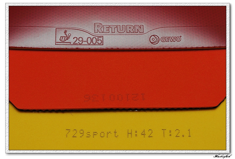 �½�����ɬ��������------729 ���⡢DHS ���칭3��GEWO RETURN CHOP�׽���ύ����