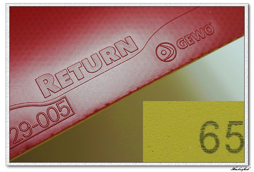 �½�����ɬ��������------729 ���⡢DHS ���칭3��GEWO RETURN CHOP�׽���ύ����