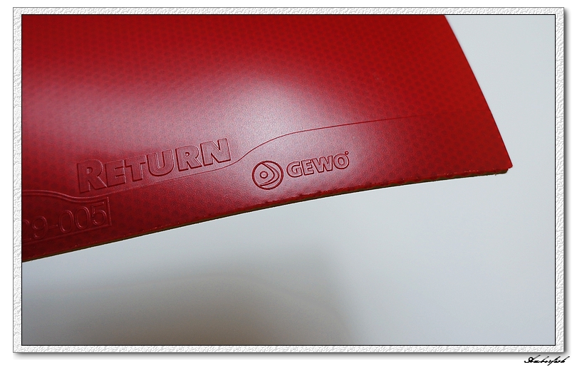 �½�����ɬ��������------729 ���⡢DHS ���칭3��GEWO RETURN CHOP�׽���ύ����