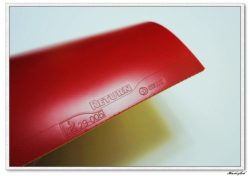 �½�����ɬ��������------729 ���⡢DHS ���칭3��GEWO RETURN CHOP�׽���ύ����