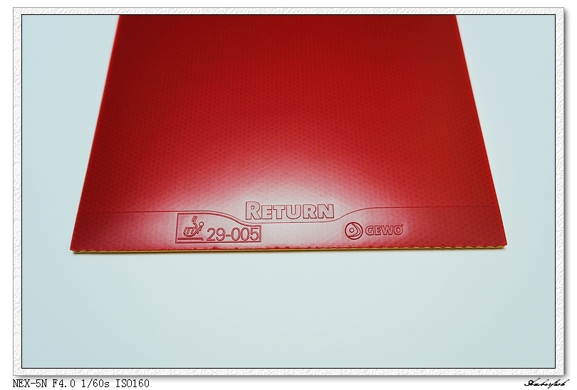 �½�����ɬ��������------729 ���⡢DHS ���칭3��GEWO RETURN CHOP�׽���ύ����