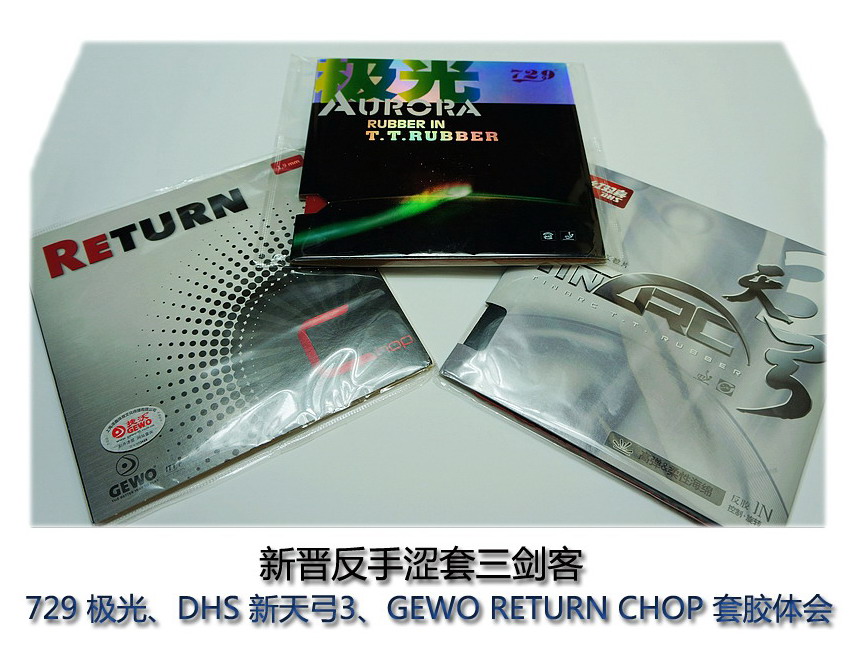 �½�����ɬ��������------729 ���⡢DHS ���칭3��GEWO RETURN CHOP�׽���ύ����