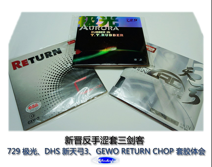 �½�����ɬ��������------729 ���⡢DHS ���칭3��GEWO RETURN CHOP�׽���ύ����