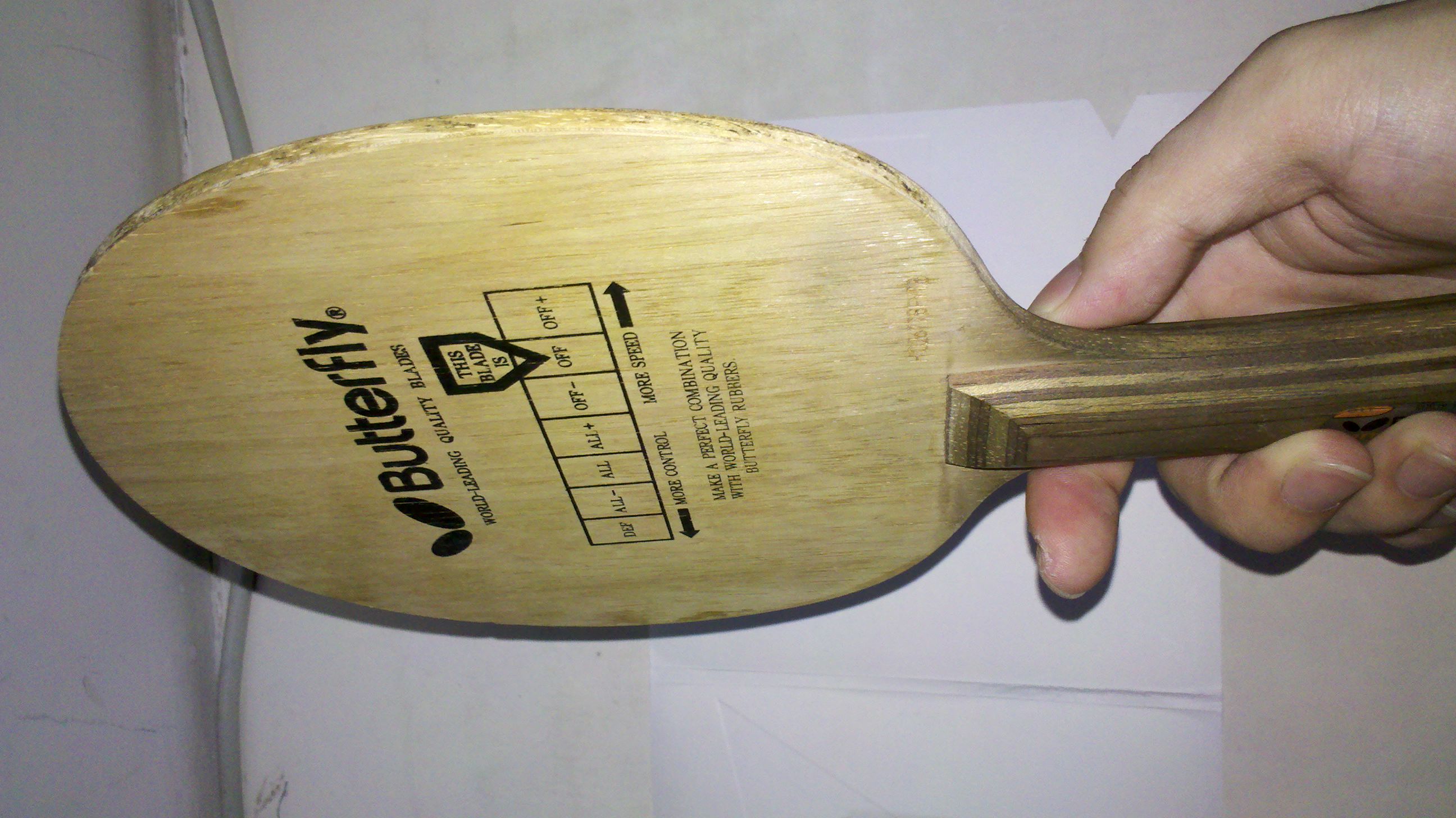 ���Ʊ����ͽ�����V