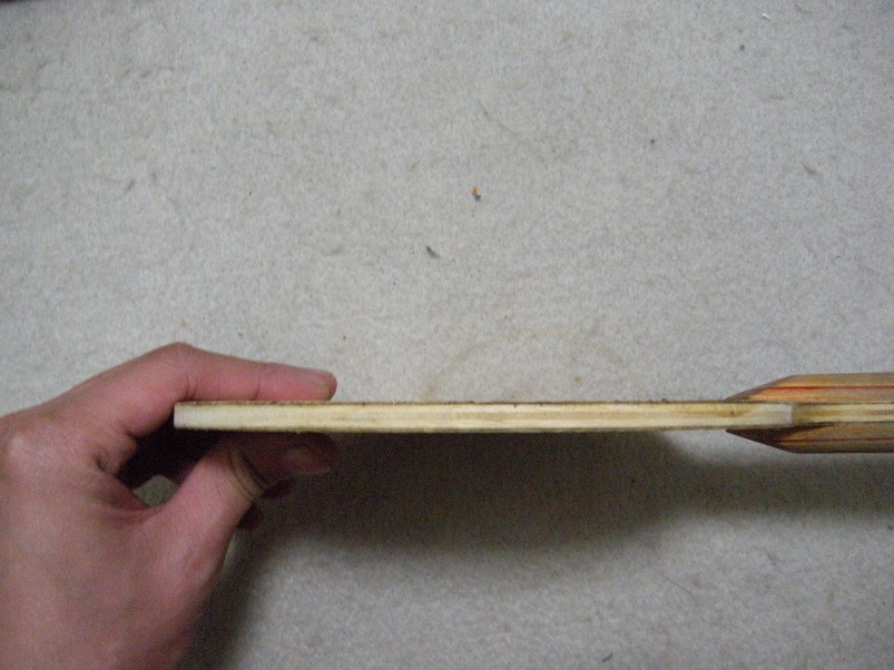 ������ �����еľ��� 262  ������