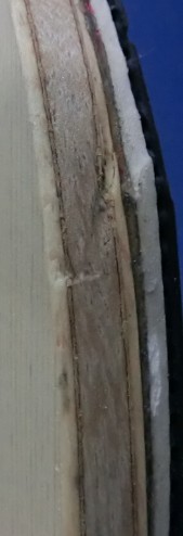 ���������õĺ��