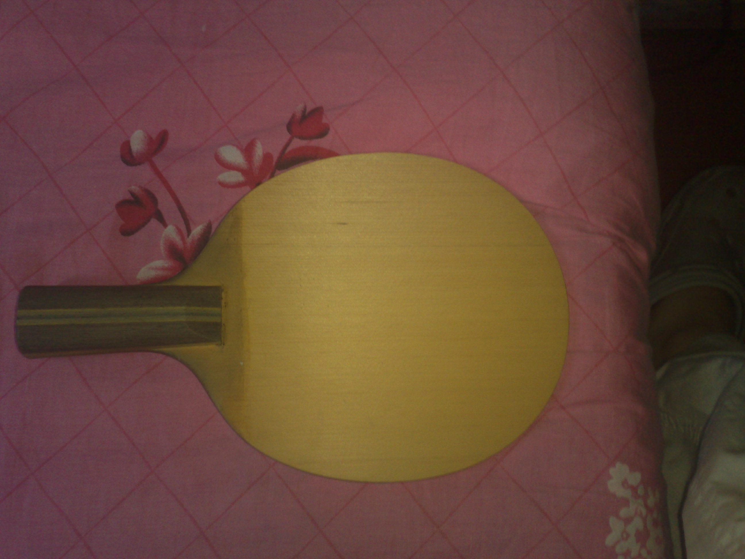 �ձ�ԭװ�����ľ�߼���ֱ450����  ��С��