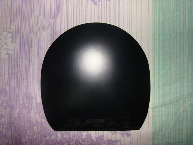 QbL5oA51.jpg
