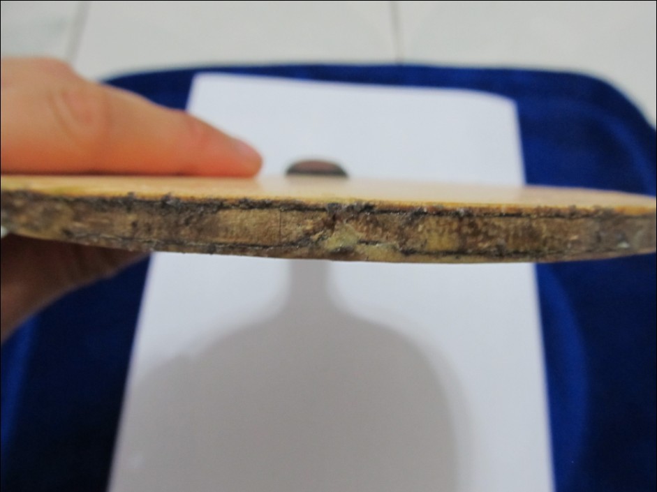 ˮ��+��ķ+m2+o3+��̤=1350���������