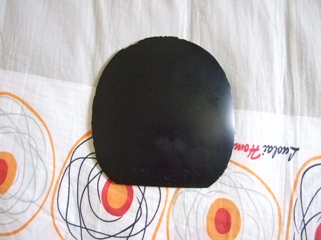 [ԭ��]���ָг�ɫ��������R-5������������-X