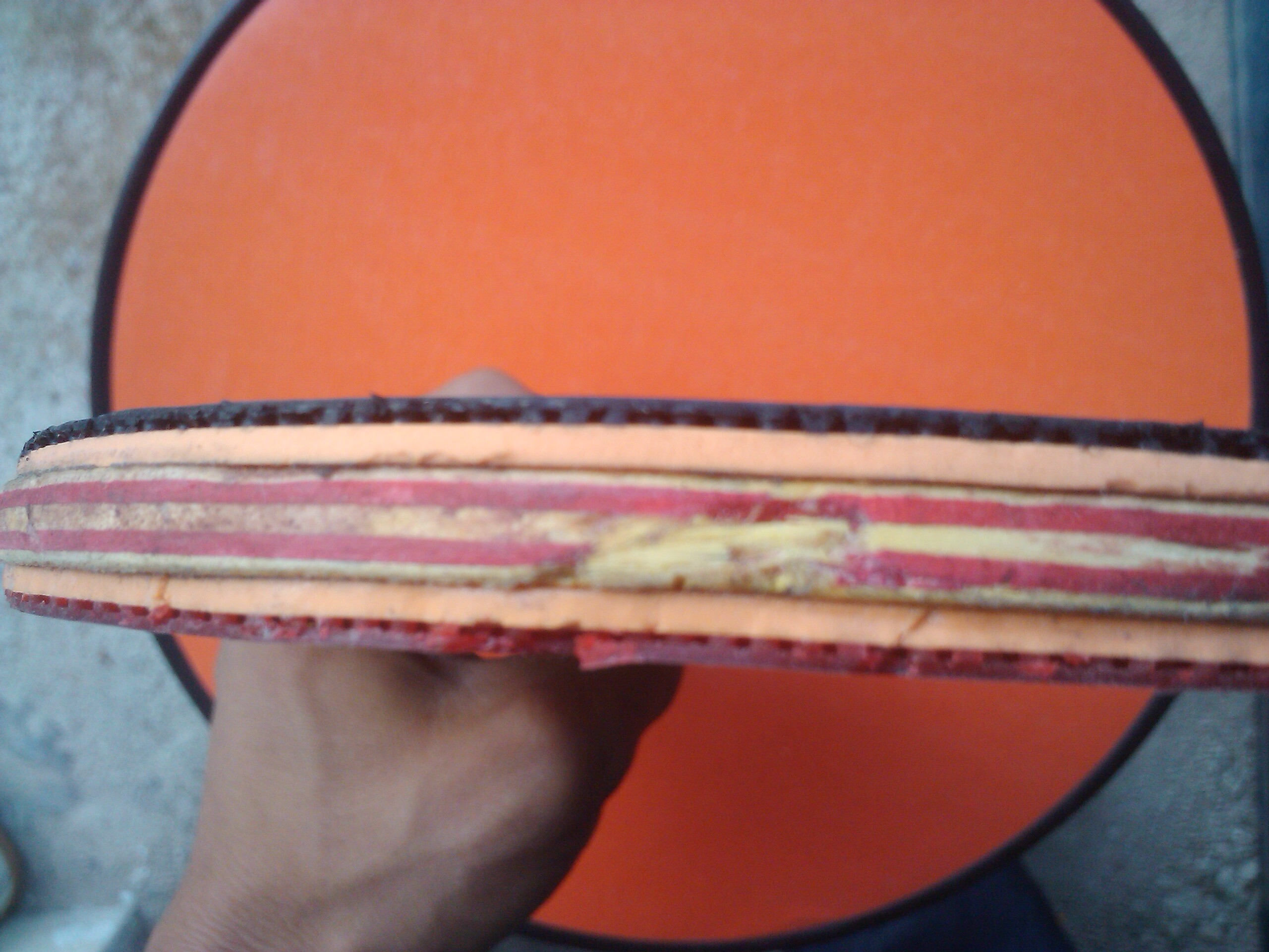 [ԭ��]300���ʳ�cl��ľ