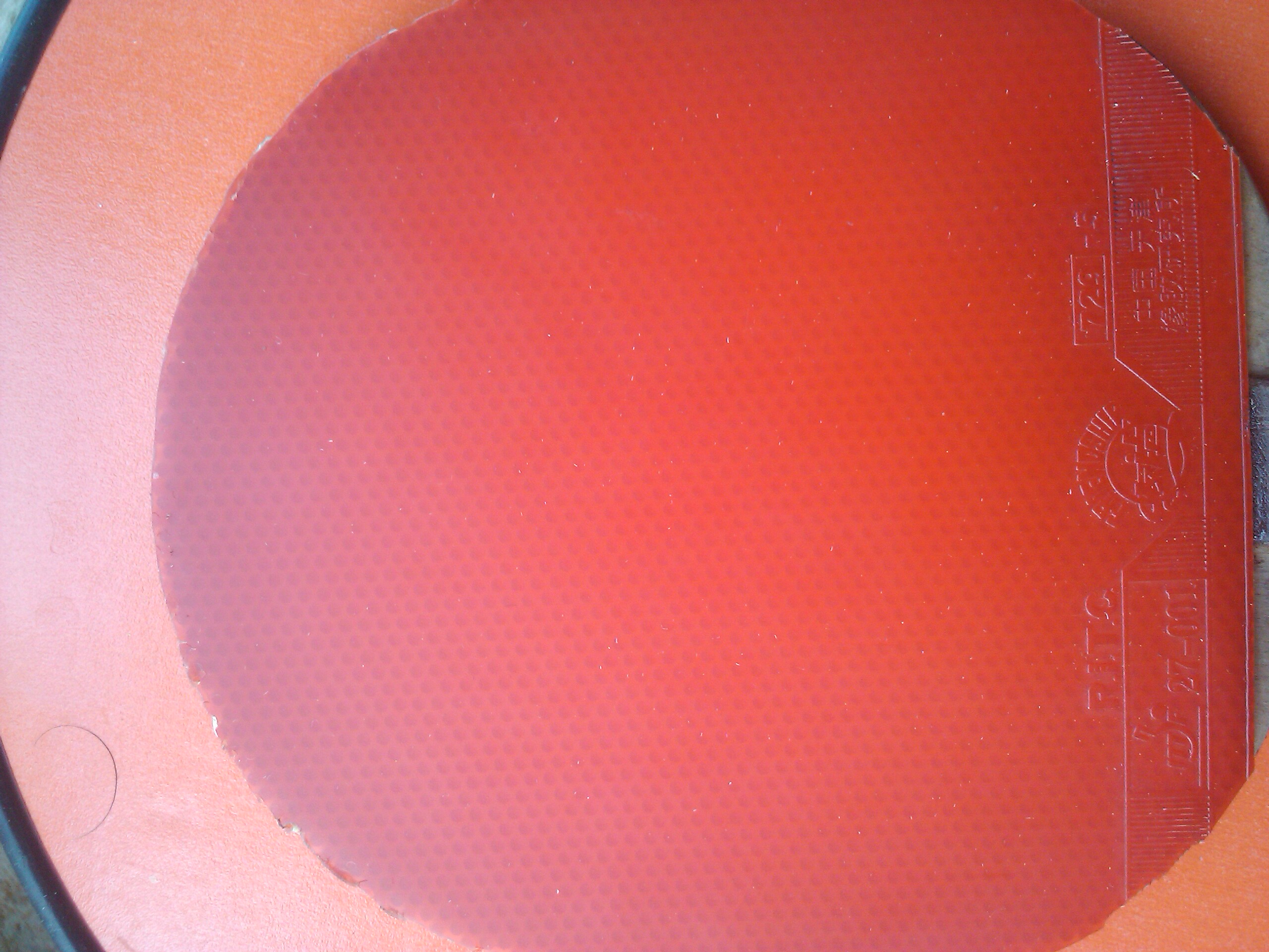 [ԭ��]300���ʳ�cl��ľ