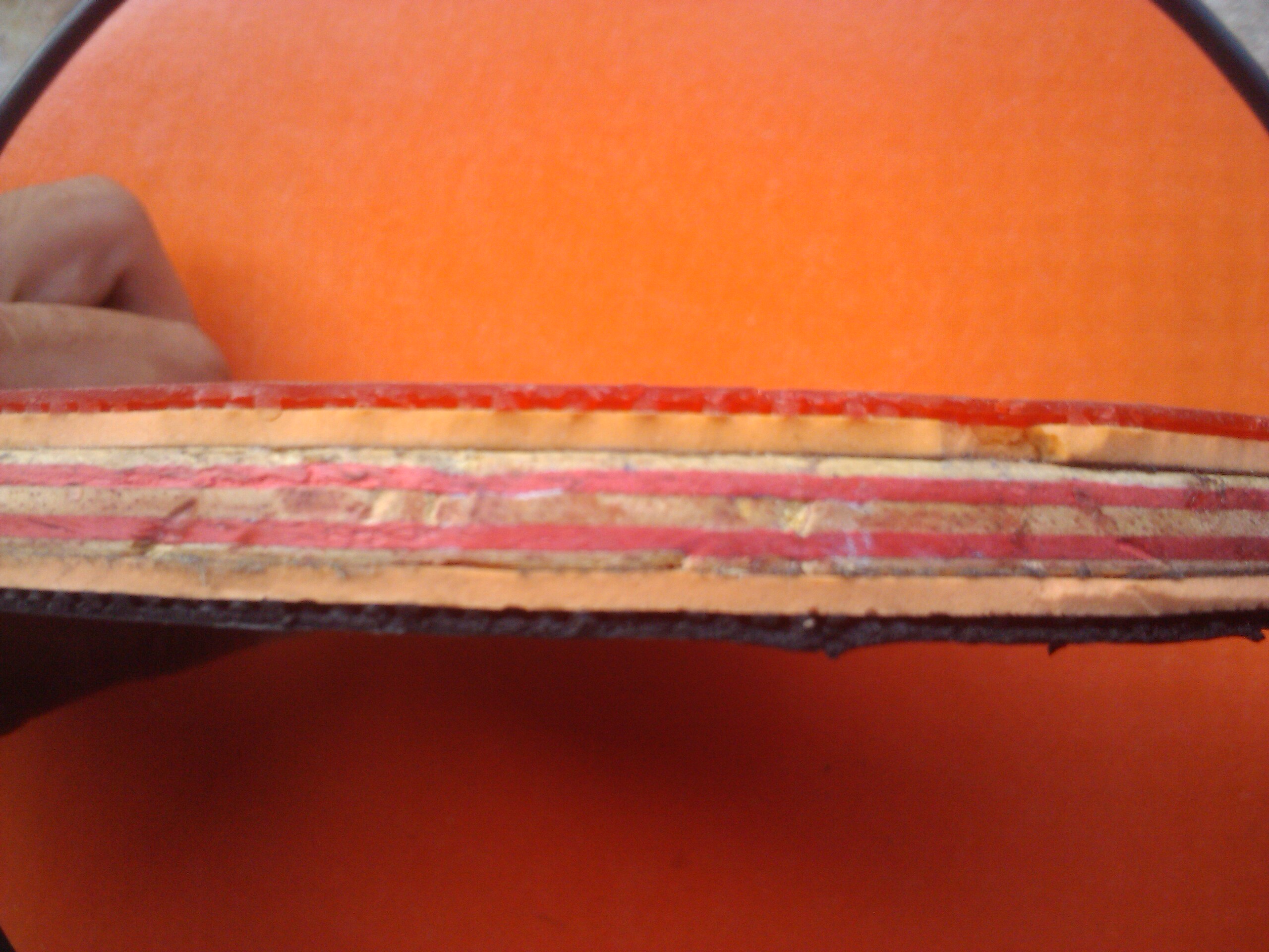 [ԭ��]300���ʳ�cl��ľ