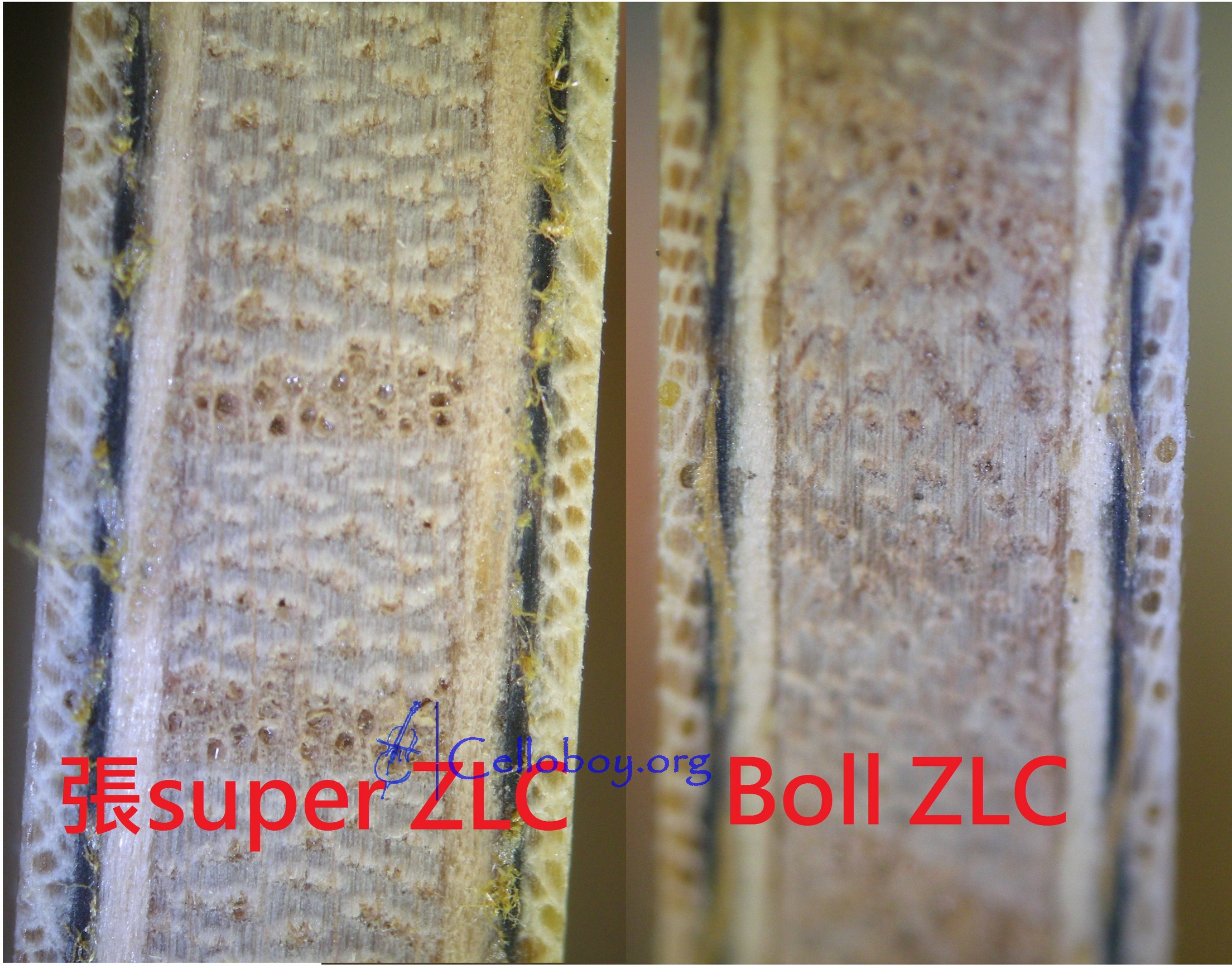 ͼ Super-ZLCʲôо