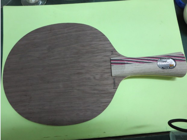 [ԭ��]������ʿ