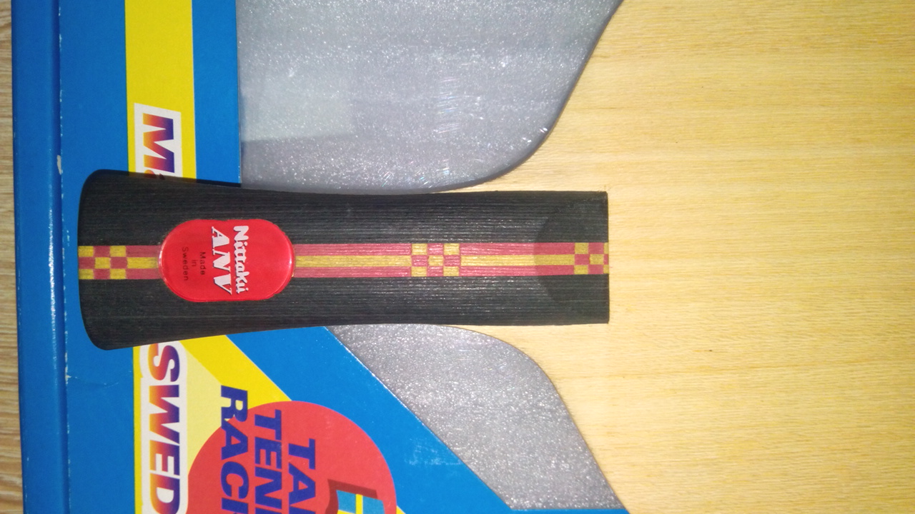 ���ճ��ղصľ���������ANV WN5