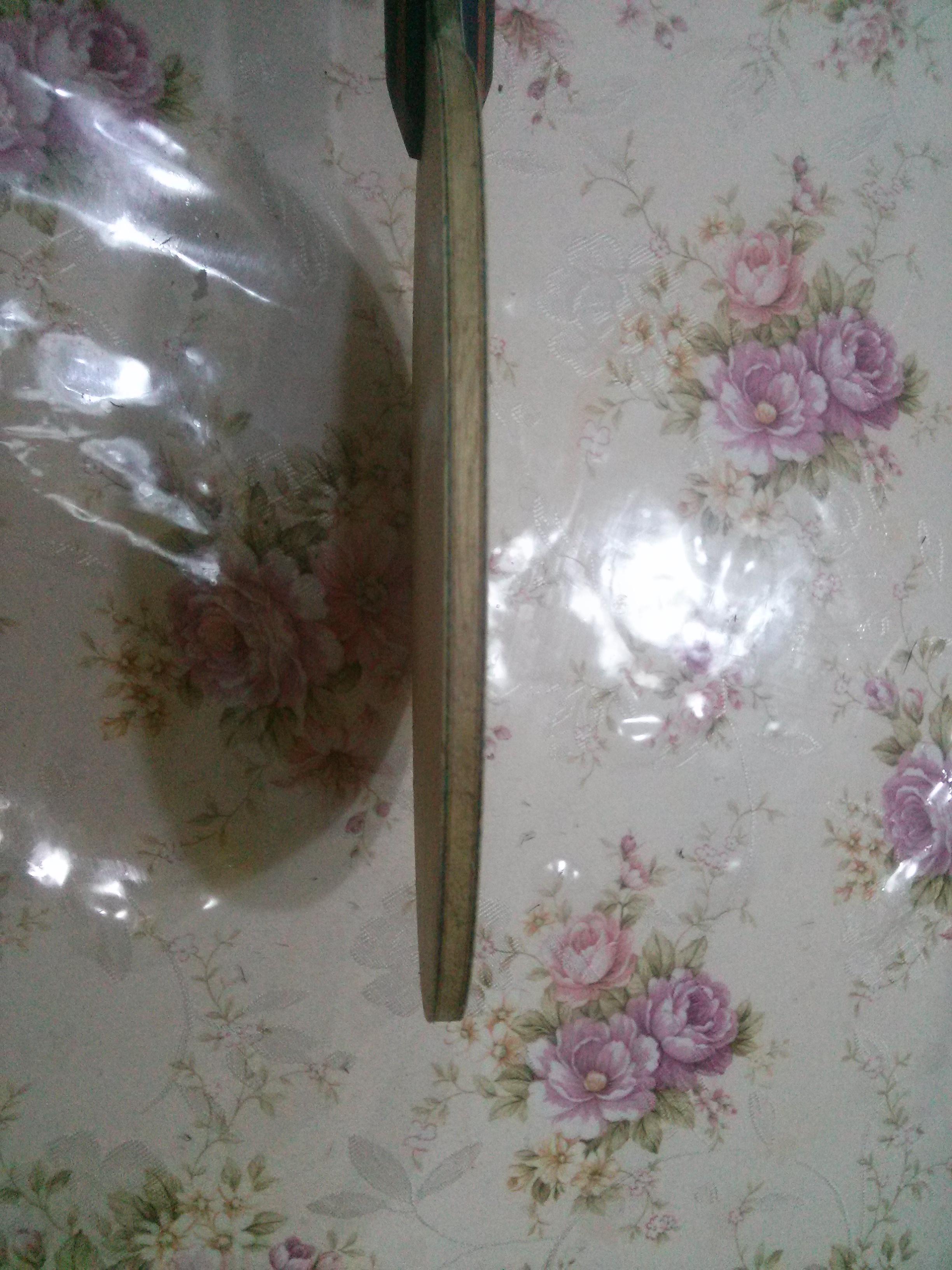 ֱTBSƣ鲣