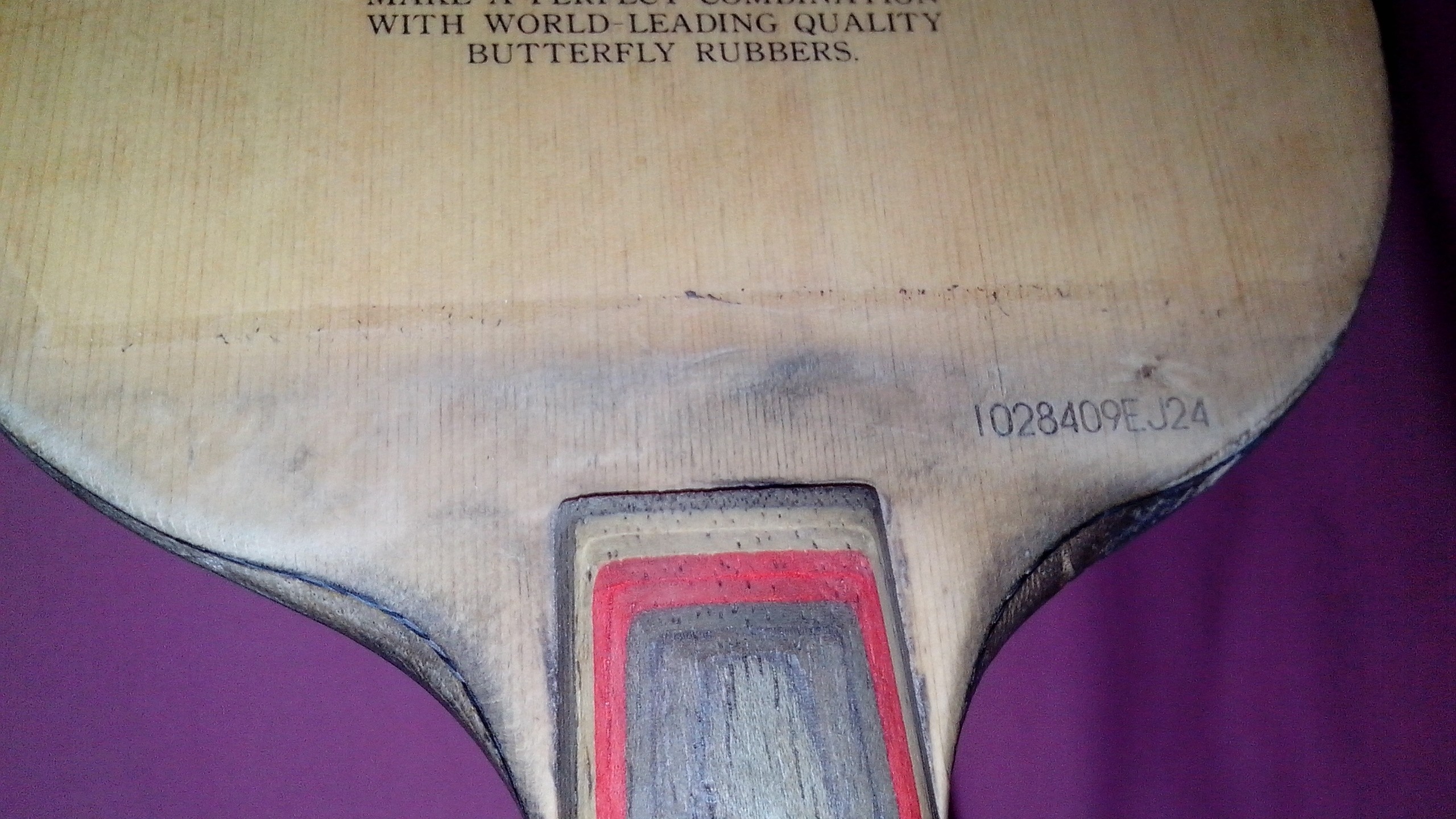 ����������̼..