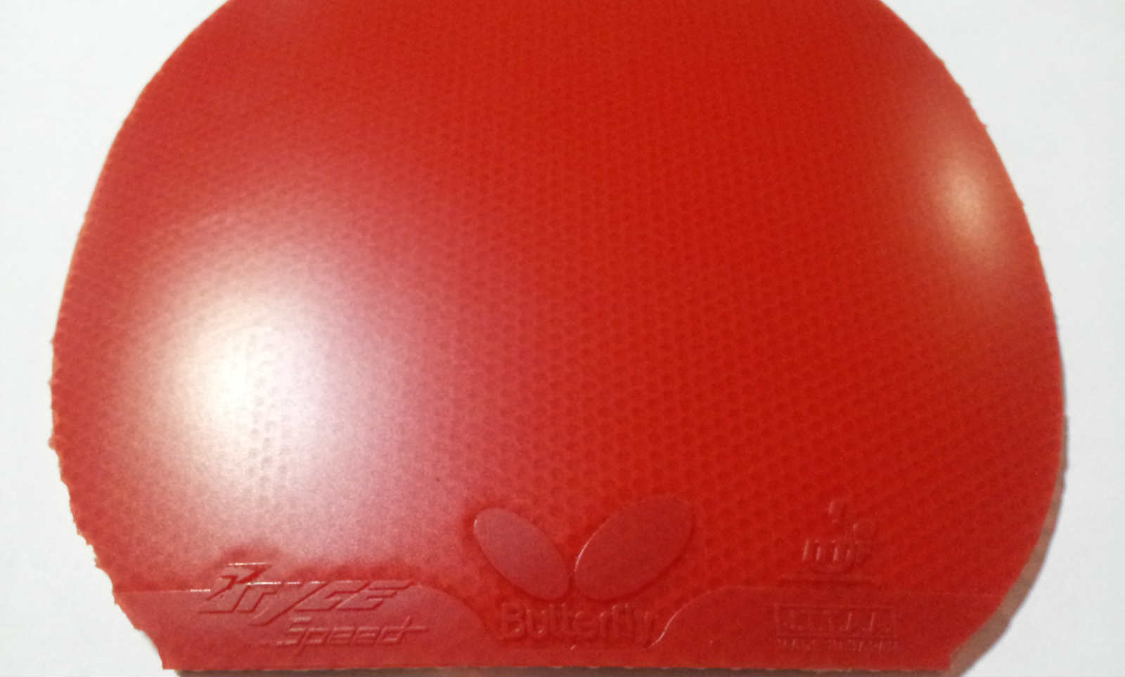 speed+켫2