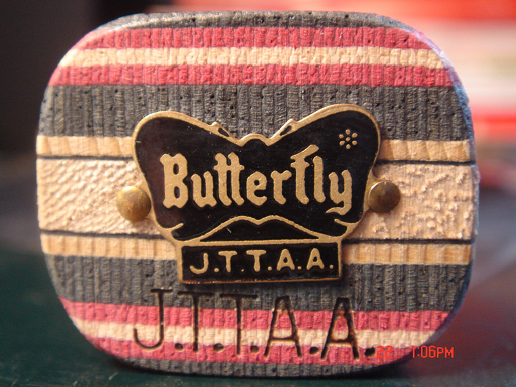 ��֧�������ƻ���