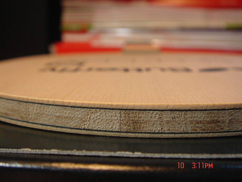 ��֧�������ƻ���