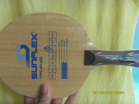 [ԭ��]ͣ�����������SUNFLEX���������