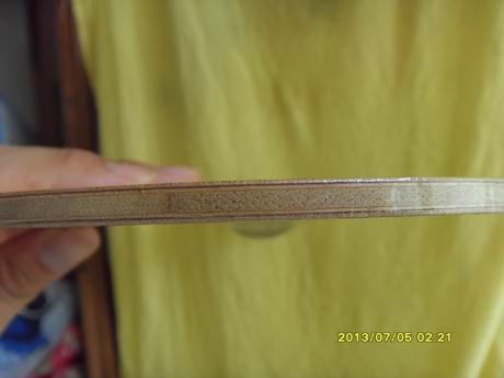 [ԭ��]ͣ�����������SUNFLEX���������