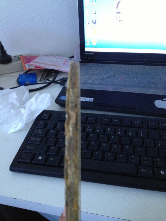 ��һ���հ�������һ��Ʒ�಻��08������л�����zlc