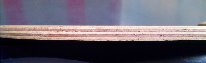 �����һ��С��,����������̳������.