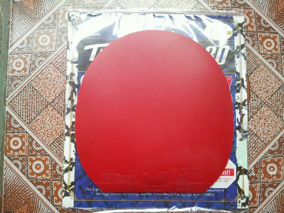 ��֧����������IN ZLC�ͺ�ɫT80