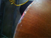 ŷ����̼��������200����