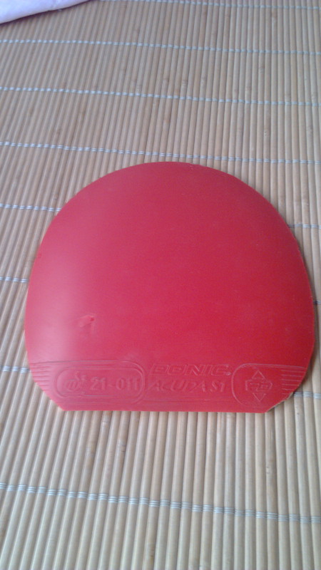 S1   M1   X1    