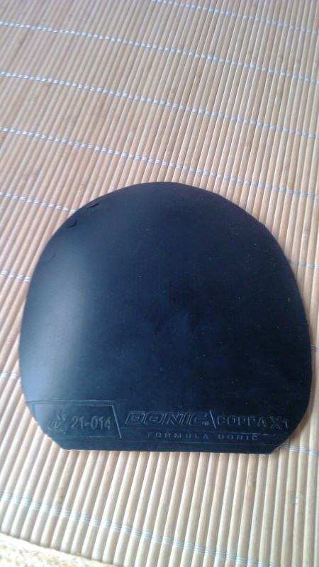 S1   M1   X1    