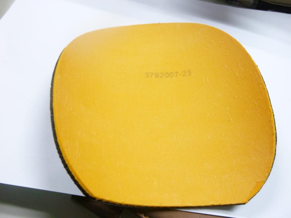ɫʡ񣬺ɫbracudaVISİ棩