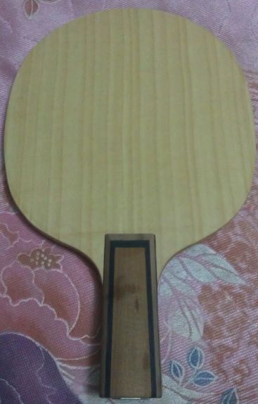 ֻ������εĴ����