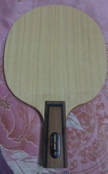 ֻ������εĴ����